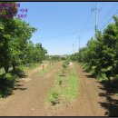 상촌리 경로당 이미지