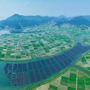 BS태양광발전소 이미지
