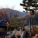 덕산면025 티스토리