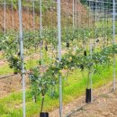 김기현농장 이미지