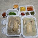 제주시 삼계탕 포장후기 몸보신하기 좋은 정한토속삼계탕원조설렁탕
