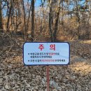 인천 강화도 스톤캠핑장 I 완벽한 뷰와 깔끔한 시설 (숲속존 1번)