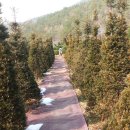 석전농장 이미지