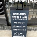 강아지고양이악세사리&미용