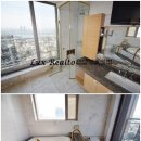 스타빌 이미지