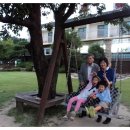 감나무골 식당 민박 이미지