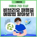 비브리오 패혈증에 대해 이미지