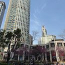 주식회사 루이글로벌투어 | 상하이 난징시루 장원 우장루 먹거리 루이비통 배 여행 코스 추천