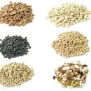 준 휘트니스 이미지