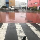 CU 청양점