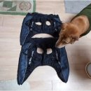 진아세탁소 이미지