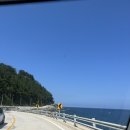 나리분지 버스정류장 | 울릉도 여행 3일차 / 나리분지, 나리촌식당, 숲크닉커피, 울릉도 소품샵 소울, 천부해중전망대, 울릉도...