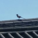 서망항2 이미지