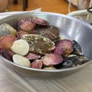 삽교회집 | [당진 맛집] ‘보경이네불타는조개구이’ | 삽교 조개구이, 횟집 내돈내산 솔직후기