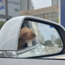 막걸리를쏴라 | -1 백과사전: 팩트는 안경잡이나 신경쓰는 것