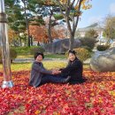 춘천고등학교 이미지