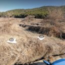 남해-110 이미지