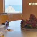 맹그로브 제주시티 이미지