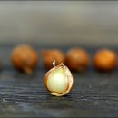 주아농장 이미지