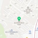 세종옵티마약국 이미지