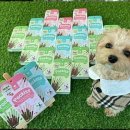 두두펫케어 이미지