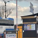 대릉원 | 경주 대릉원 방문 후기 | 입장료•주차•포토존•시간 총정리✨