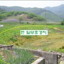 덕암초교 이미지