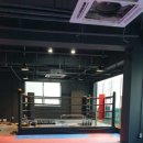 금강체육관 이미지