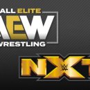 AEW-NXT 시청률, 트리플 H, 스맥다운, 데몰리션, 엘라이어스, WWE 2K20 外 이미지