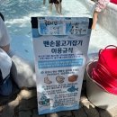 김포 아이랑 가볼만한곳 피싱파크 진산각 미꾸라지 잡기, 낚시, 동물 체험