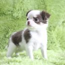 은아농장 이미지