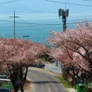 실안소공원 이미지