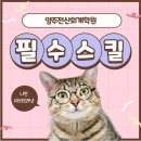 이대진전산회계세무학원 | 양주전산회계학원 난이도 일정 후기 전산세무 알아보기!