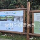 동백동산 이미지