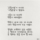 커리어디자인세이
