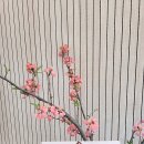 딥인버터 이미지