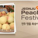 제15회 전주명품 복숭아 큰잔치(7/27~7/28) 이미지