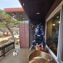 쉼표펜션 | 홍천펜션 자연 속 온전한 쉼표, '스테이담소원' 홍천독채펜션 힐링 후기