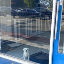 제리식탁 이미지