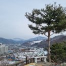 하식목장 네이버블로그