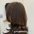 마리베비