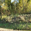 소곡보건진료소 이미지