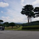 포천아도니스 C.C 이미지