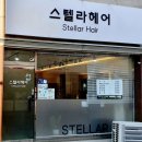 스텔라헤어 이미지