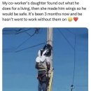 하얀날개 이미지