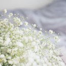 오한의원 이미지