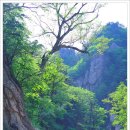 서봉슈퍼