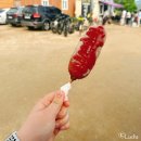 세미원 | [양평] 세미원 &amp; 두물머리 방문 후기