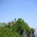 보물단지 이미지