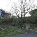 천리안 캠프힐 이미지